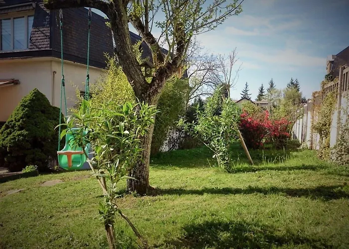 Chemin Des Vignerons